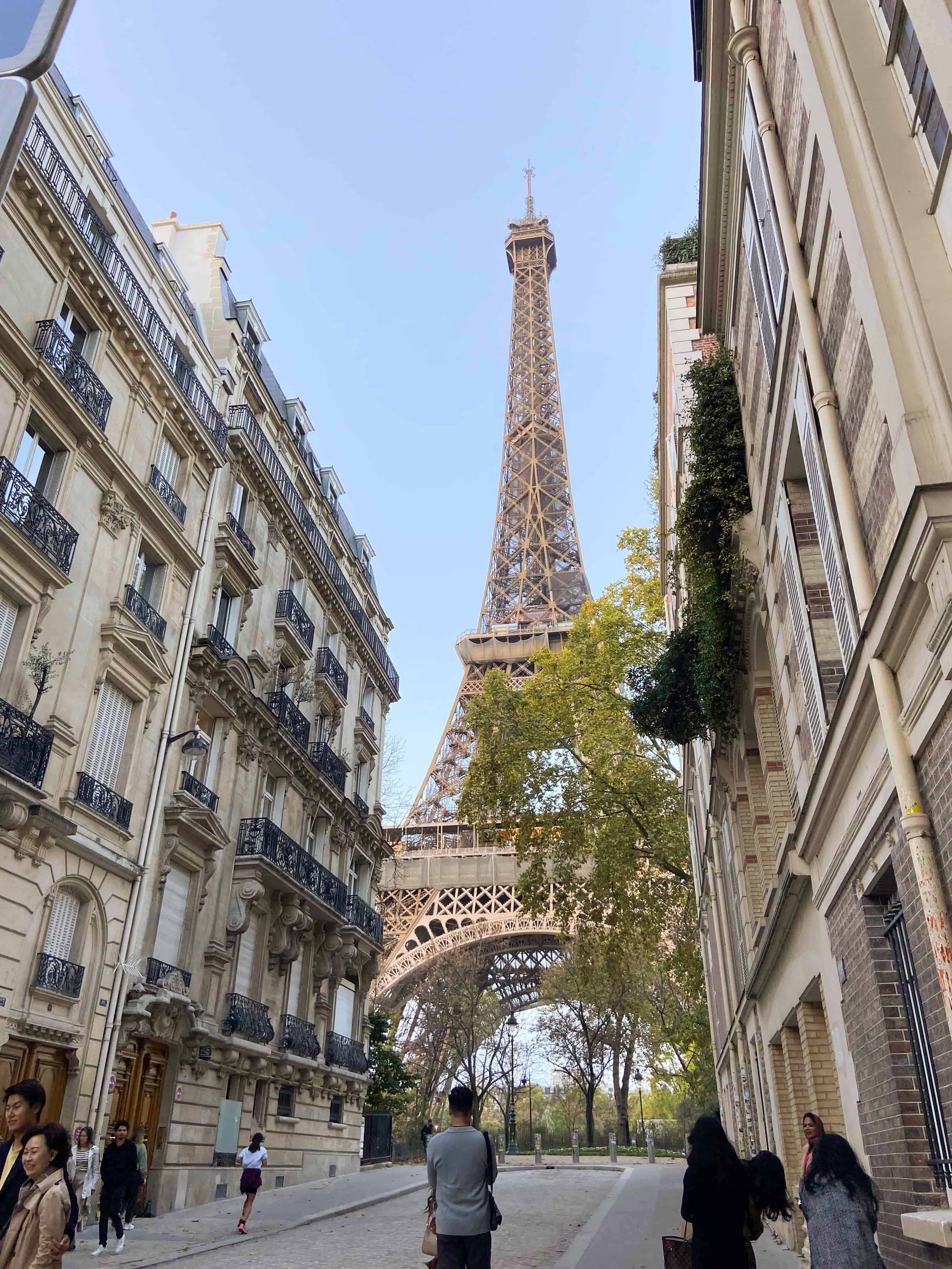 Eiffel Tower with parisian neighborhood 