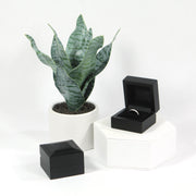 two black ring boxes for proposal next to a green houseplant