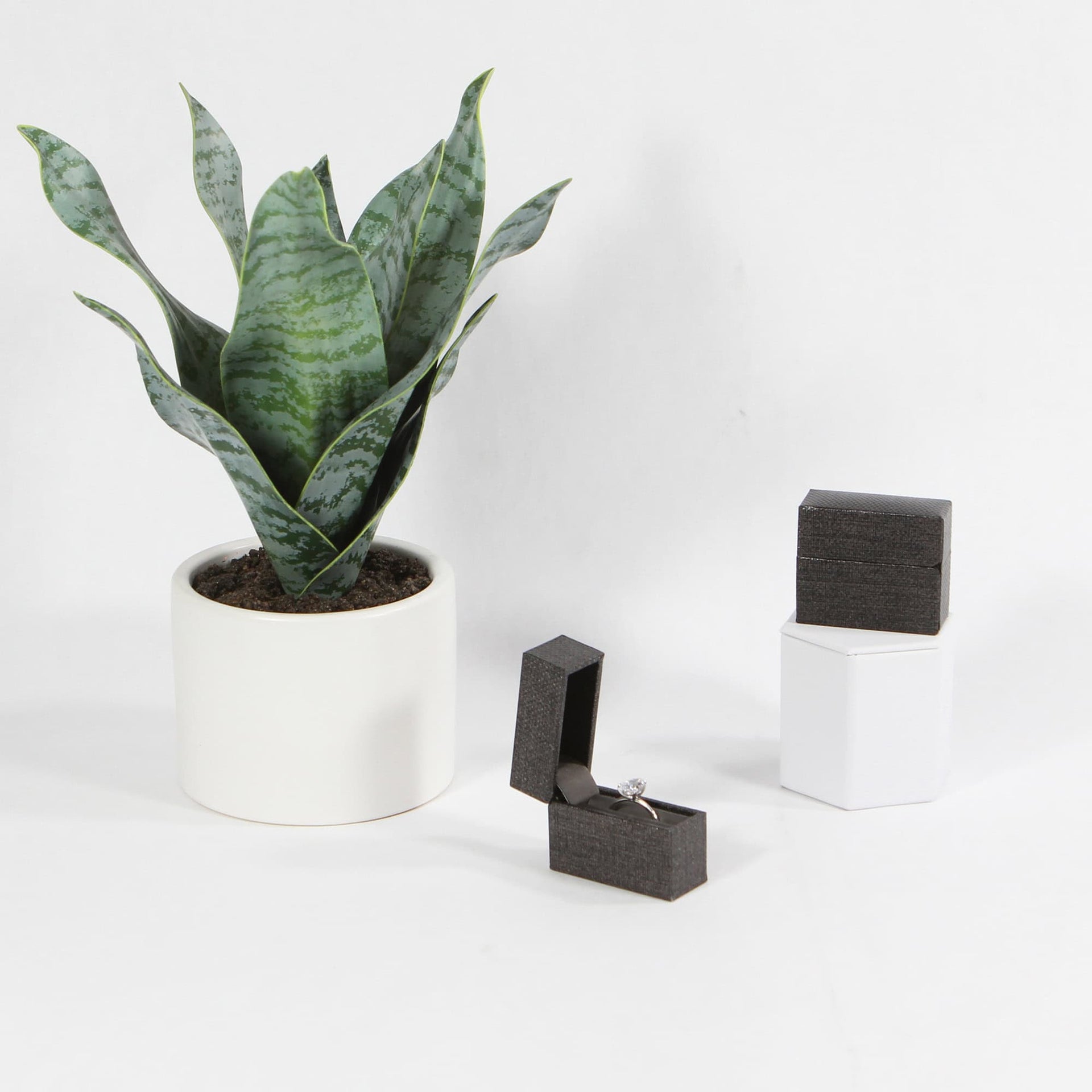 discreet grey slim ring box for proposal