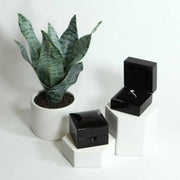 lifestyle photo of glossy black ring boxes on hexagon bases with a snake plant