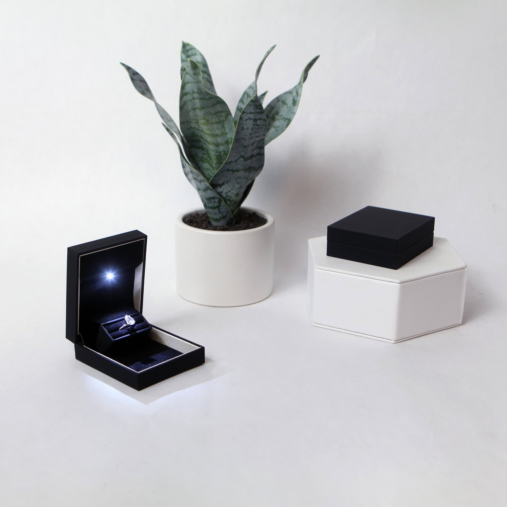 black ring box for proposal with light