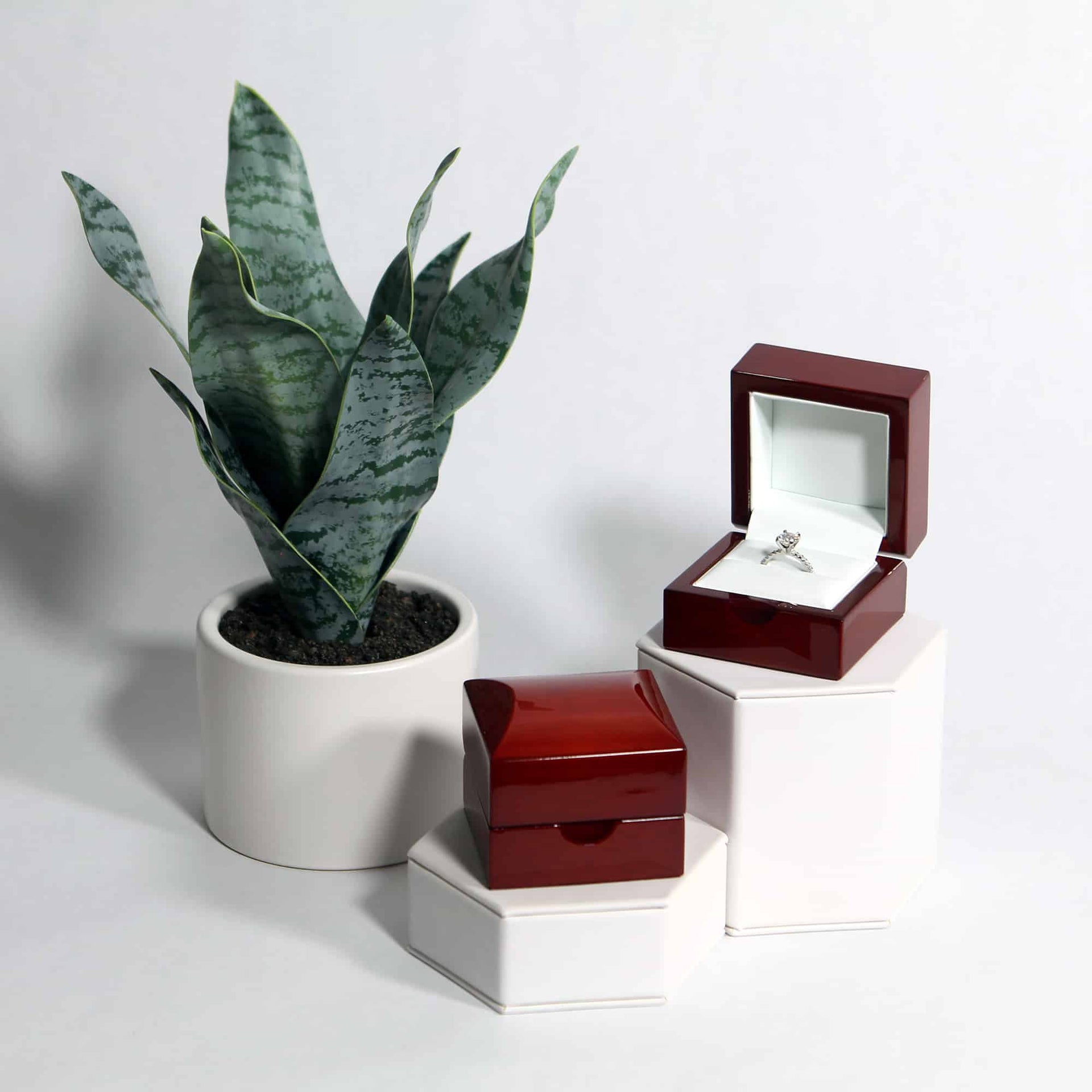 lifestyle of red rosewood ring boxes on hexagon bases with a snake plant in the shot
